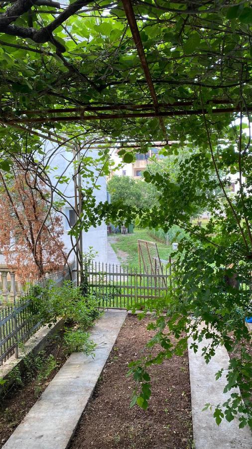 Milla - Cozy Two Bedroom With Yard And Parking Lägenhet