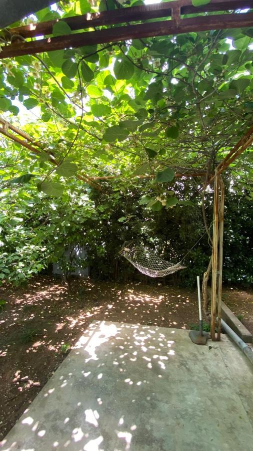 Lägenhet Milla - Cozy Two Bedroom With Yard And Parking Budva